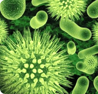 97���ʡ�(�й���)���޹�˾����