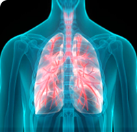 97���ʡ�(�й���)���޹�˾����