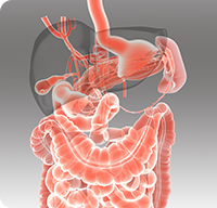 97���ʡ�(�й���)���޹�˾����