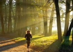 97���ʡ�(�й���)���޹�˾����