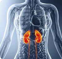 97���ʡ�(�й���)���޹�˾����