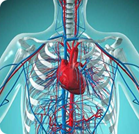 97���ʡ�(�й���)���޹�˾����