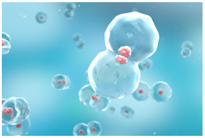 97���ʡ�(�й���)���޹�˾����